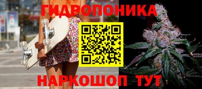 спиды Надым