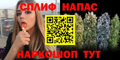 мяу мяу мука Набережные Челны