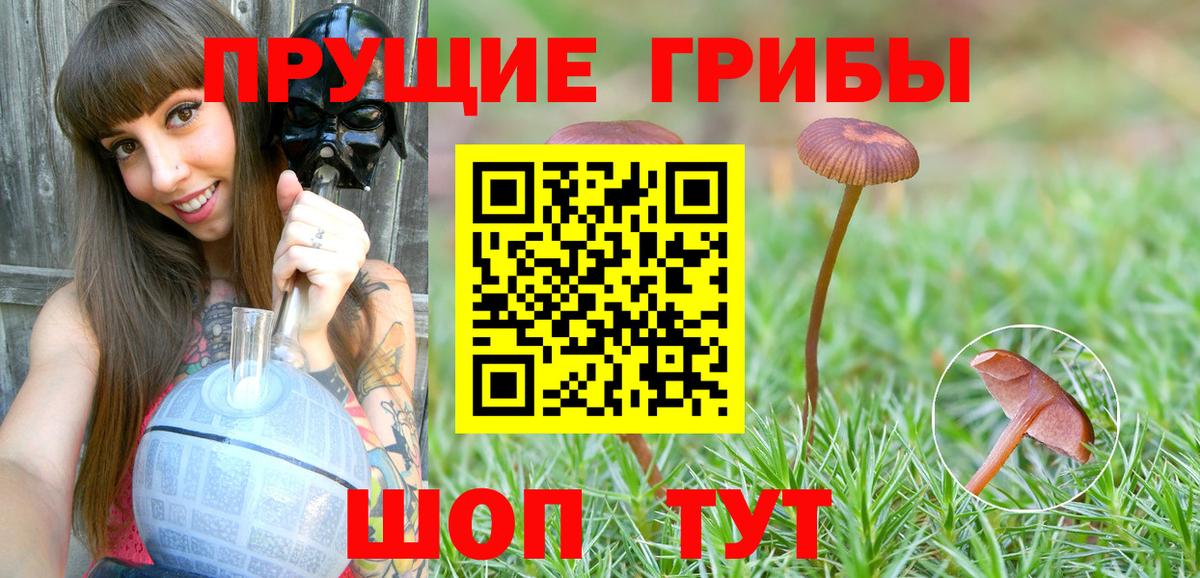 Галлюциногенные грибы прущие грибы  где купить наркотик  Белогорск  Вход с VPN 