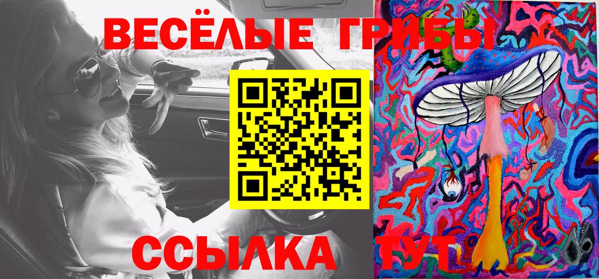 Псилоцибиновые грибы Psilocybe Белогорск